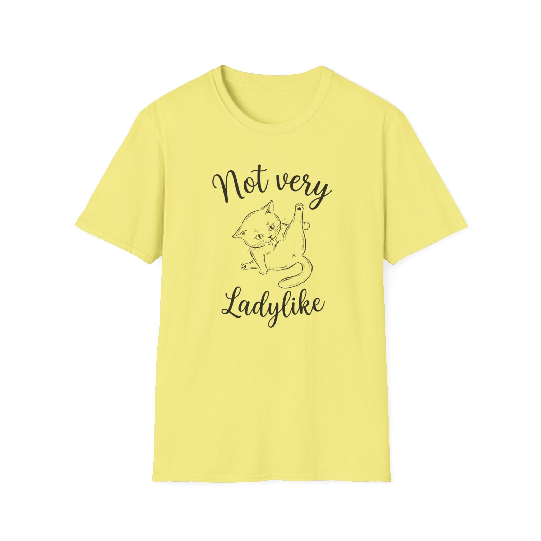 Not  very ladylike T-Shirt
