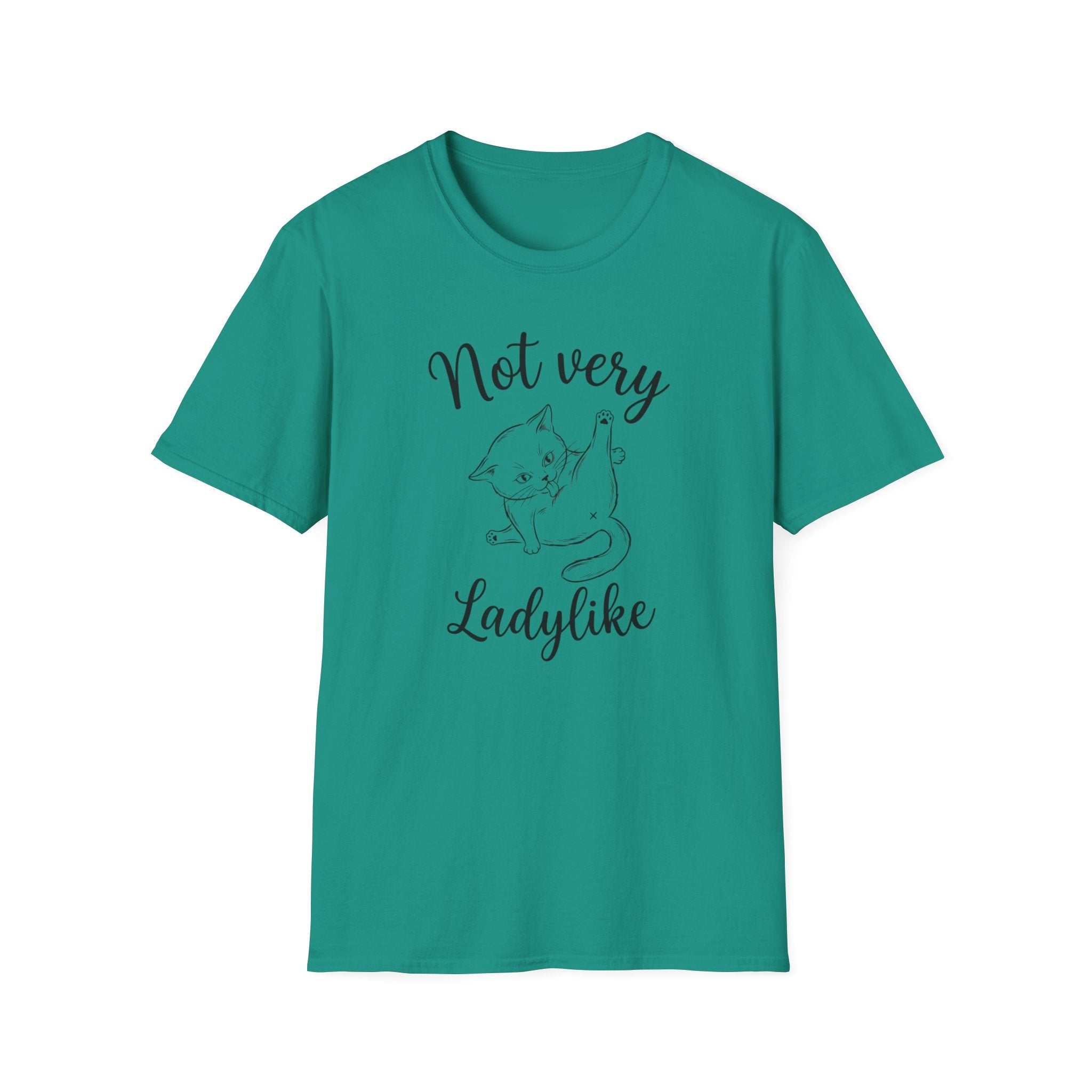 Not  very ladylike T-Shirt