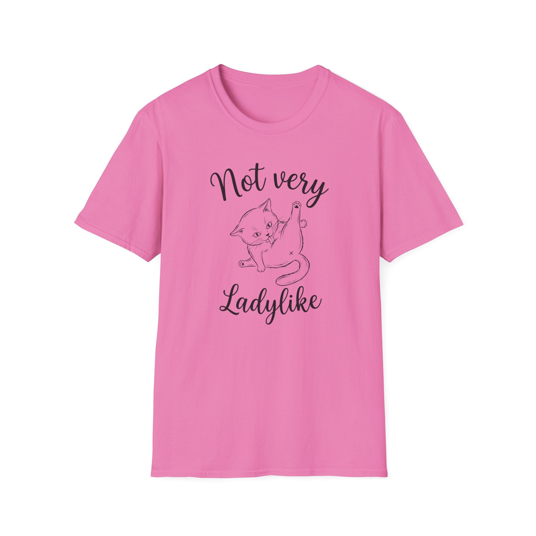 Not  very ladylike T-Shirt