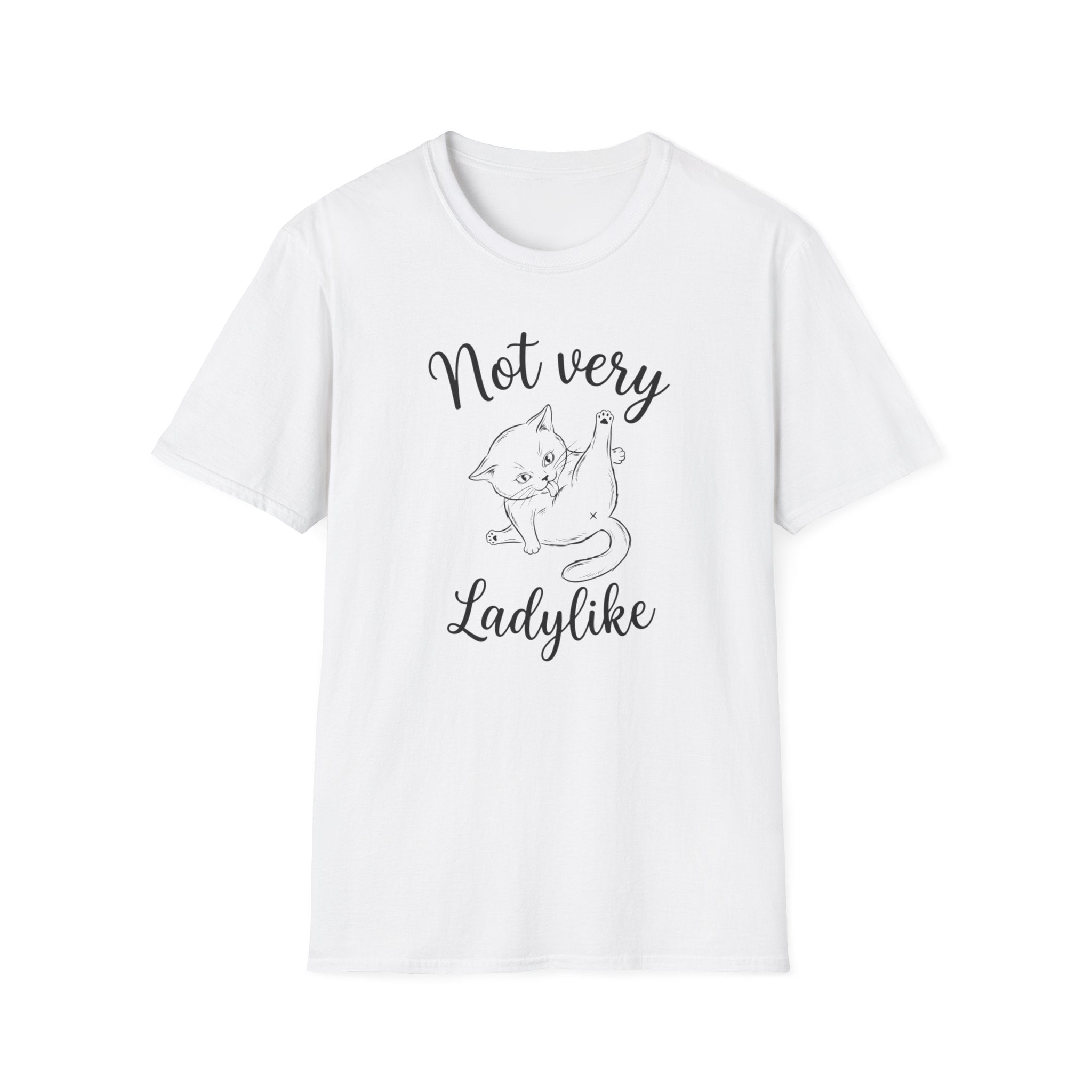 Not  very ladylike T-Shirt